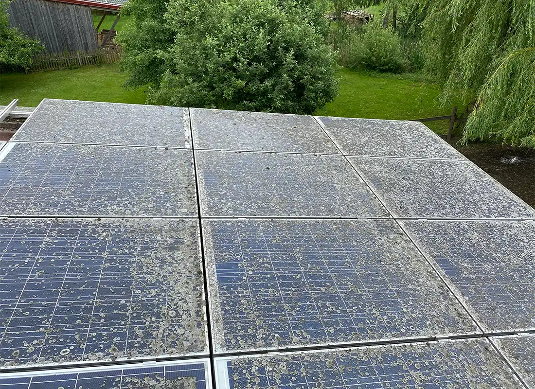 professionelle-pv-reinigung-solaranlage-vorher PV Anlage reinigen lassen in Dingolfing vor der Reinigung