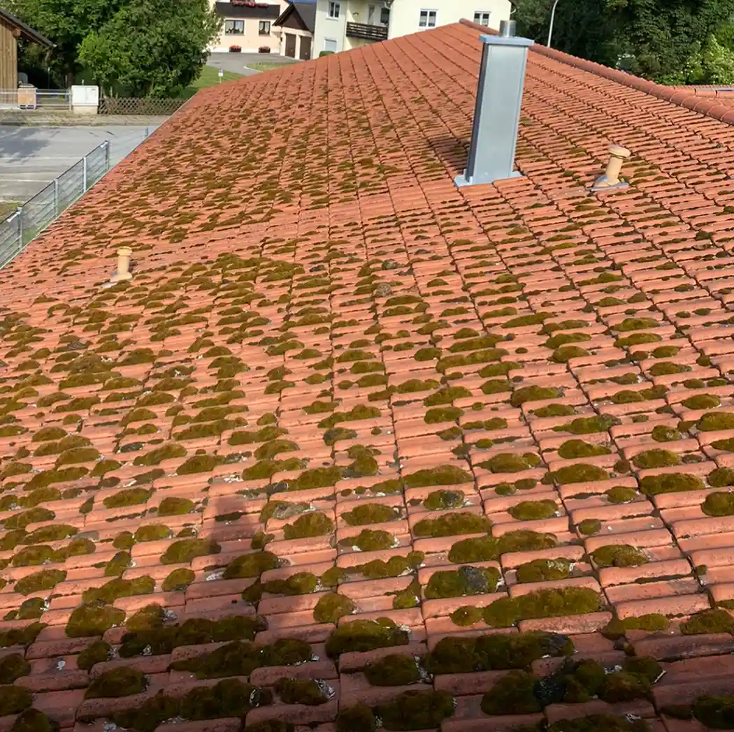 Vor der professionelle Dachreinigung von Kiendl Dienstleistungen