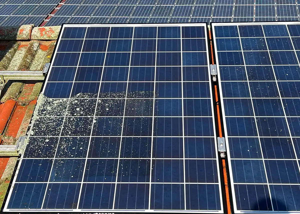 Fachgerechte Reinigung von Photovoltaikmodulen in und um Landshut