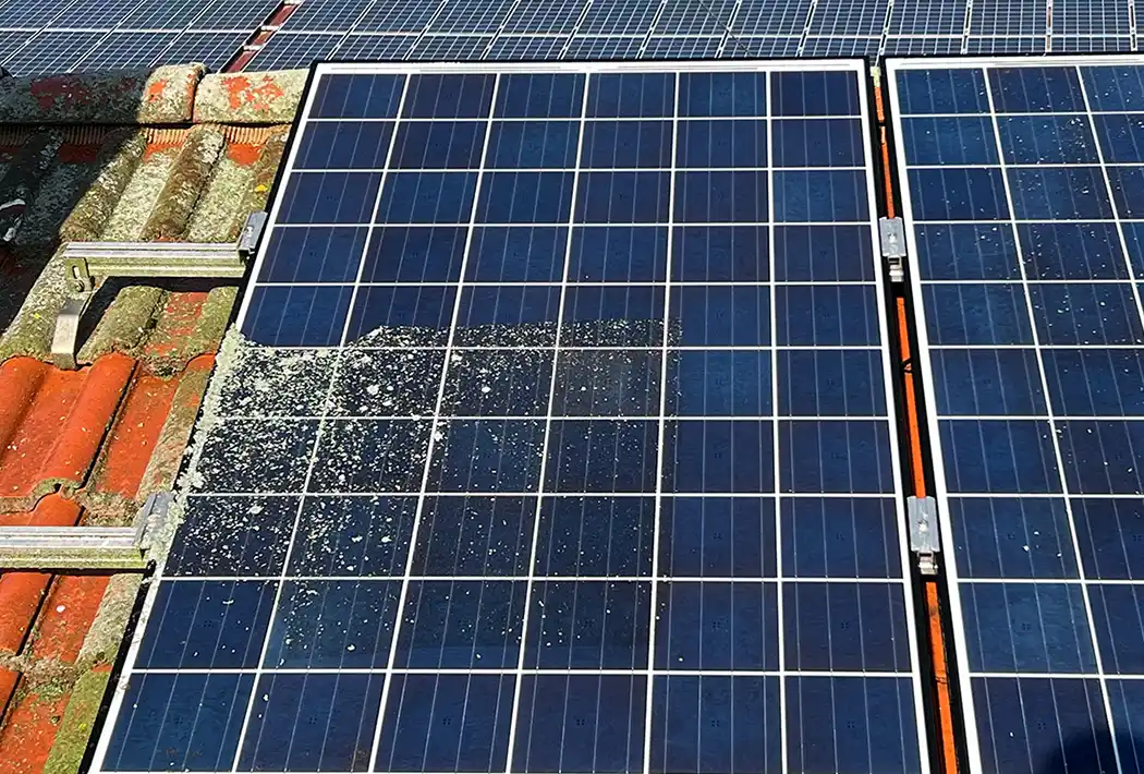 Fachgerechte Reinigung von Photovoltaikmodulen