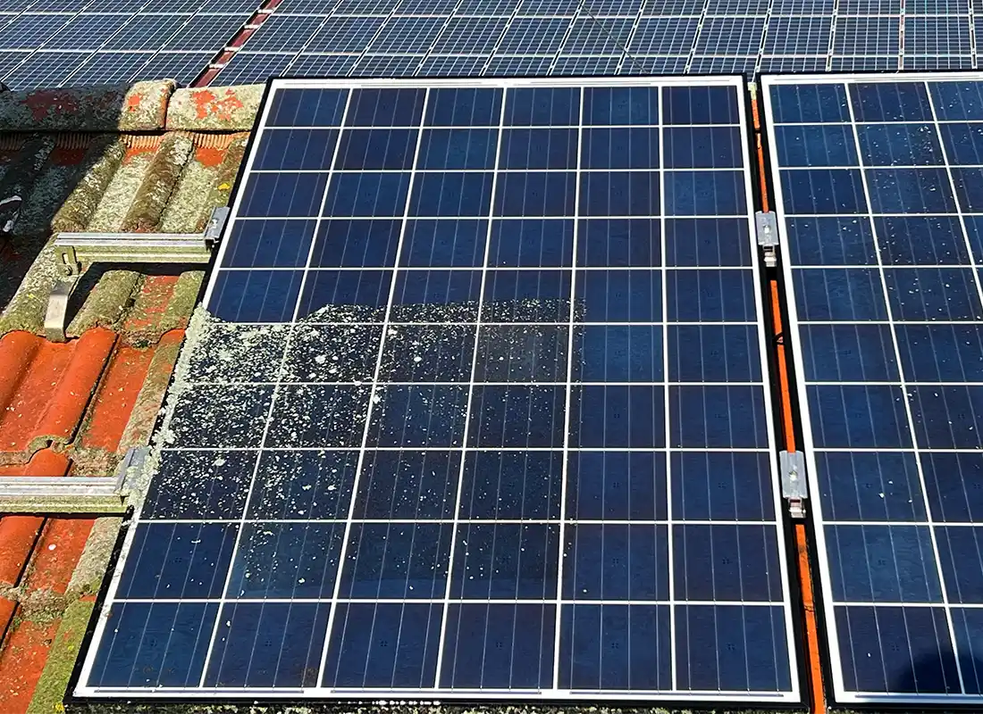 Fachgerechte Reinigung von Solarmodulen